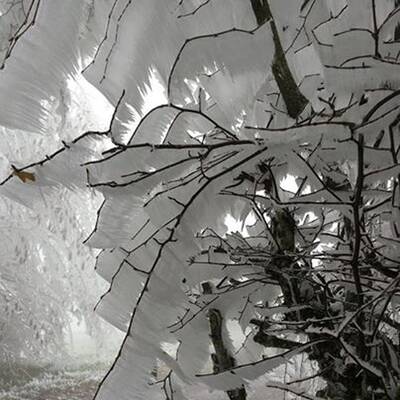 Waidhofen an der Thaya, NÖ