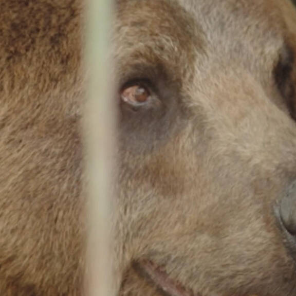 Rückblick: Groß-Einsatz für über 60 argentinische Zootiere