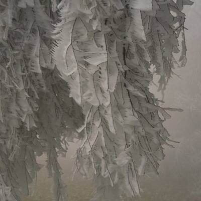 Waidhofen an der Thaya, NÖ