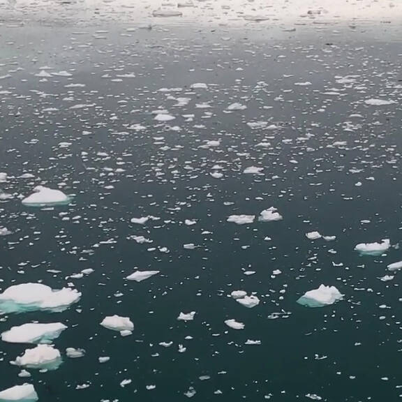 Greenpeace gegen die Plastiklawine