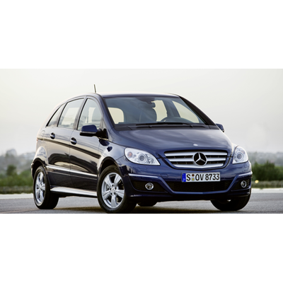 Überblick über die beliebtesten heimischen Vans