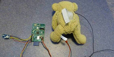 Teddy-Bär schlägt All-Felix 