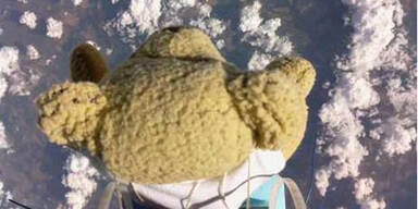 Teddy-Bär schlägt All-Felix 