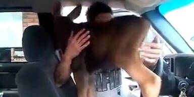 Autofahrer findet Elch-Baby