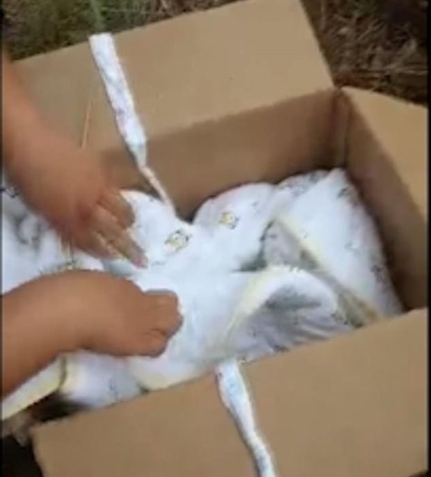 Schock-Video: Baby lebendig im Wald begraben