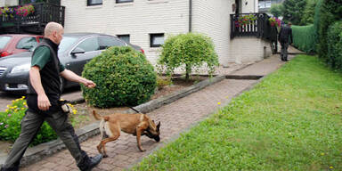 Zwei Babyleichen auf Bauernhof entdeckt