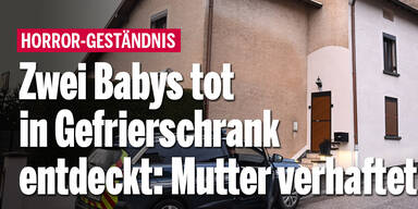 Zwei Babys tot in Gefrierschrank entdeckt - Mutter (50) verhaftet