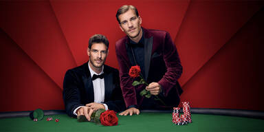 Sensation! Gleich zwei "Bachelors" auf Liebes-Suche