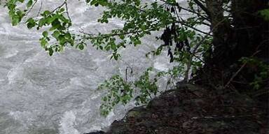 Im letzten Moment aus Bach gerettet