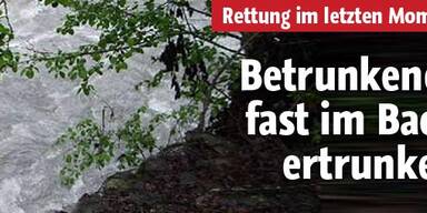 Im letzten Moment aus Bach gerettet