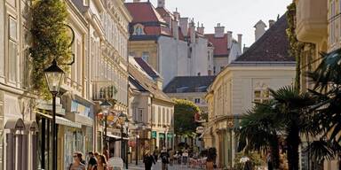 Es ziehen mehr Ausl&auml;nder nach Nieder&ouml;sterreich als von hier fort