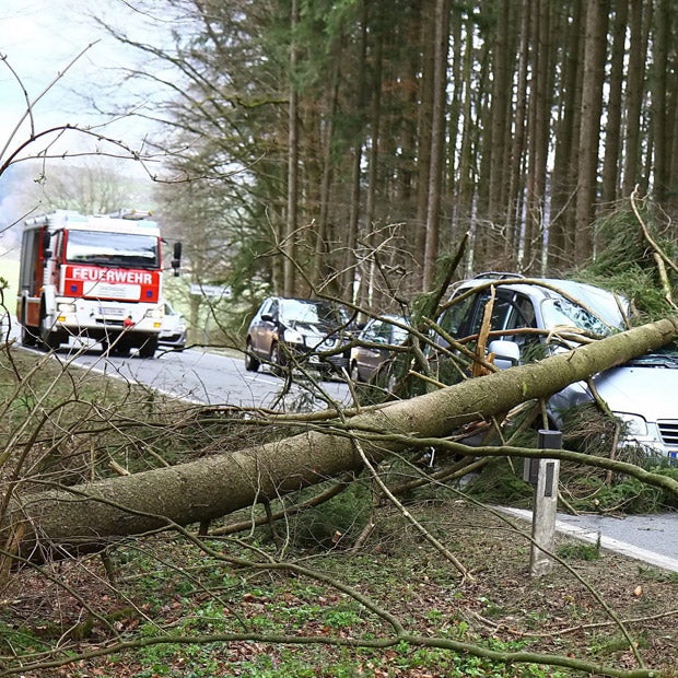 Orkan mit 120 km/h in Österreich