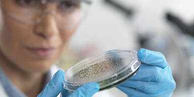 Was sind eigentlich Listerien?