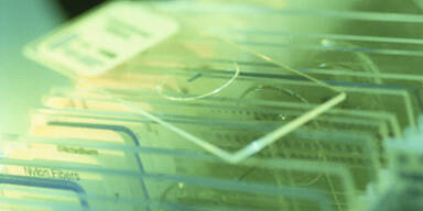 bakterien_konsole_photos