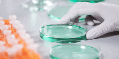 Gefährlicher Mangel an Antibiotika