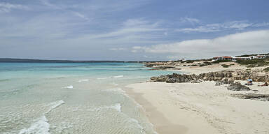 Mallorcas Natur bl&uuml;ht ohne Menschenmassen auf