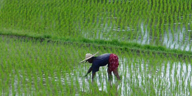 Die buntesten Reiseziele