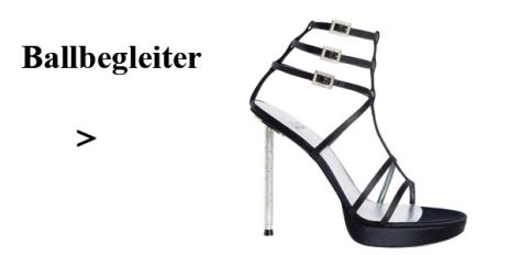 ballbegleiter-slideshow1