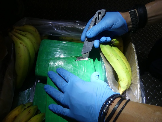 660 Kilo Kokain in Bananenkisten entdeckt