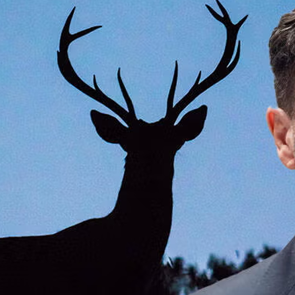 Wieder Wirbel um Benko: Hat 9-Jähriger einen Hirsch erschossen?