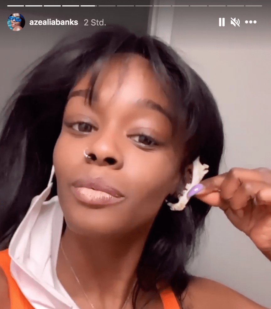 Riesen Aufregung: Rapperin kocht ihren toten Kater