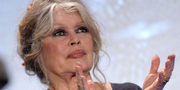 Hund von totem Filmstar Delon wird NICHT eingeschläfert