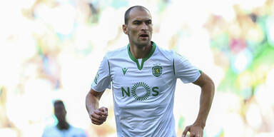 Holland-Bomber Bas Dost verst&auml;rkt H&uuml;tter-Elf