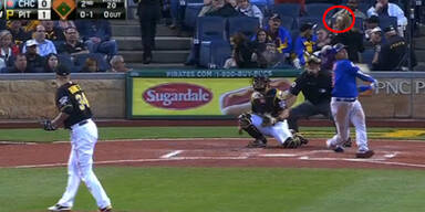 Schock: Fan von Baseball getroffen