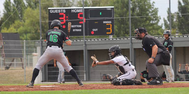 Baseballspiel Vienna Wanderers gegen Schwechat Blue Bats
