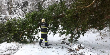 Grazer Leechwald musste gesperrt werden
