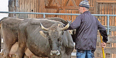 'M&ouml;rder', 'Tierqu&auml;ler': So schlimm werden Bauern beschimpft