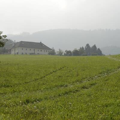Bauer fast vor eigenem Haus überfahren