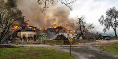 Mehrere Tiere bei Bauernhofbrand verendet