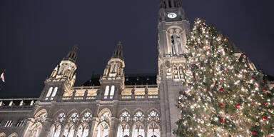 Christbaum am Rathausplatz