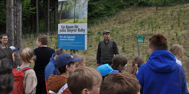 Schüler pflanzten Bäume.