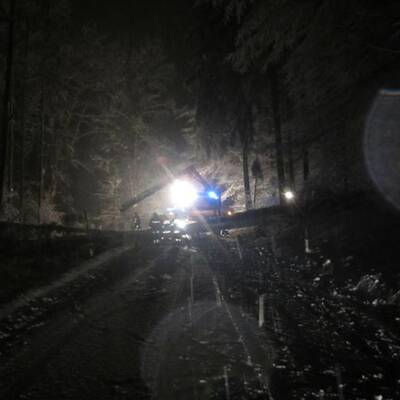 Umstürzende Bäume verfehlen Auto knapp