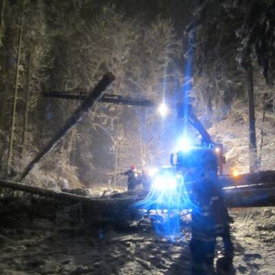 Umstürzende Bäume verfehlen Auto knapp