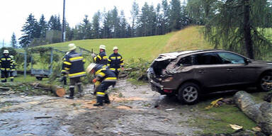 Murenabgänge in Kärnten und Steiermark
