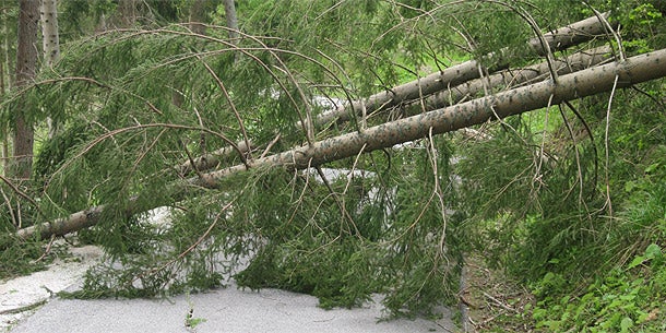 Orkan-Tief: Blackouts und Schäden im Süden