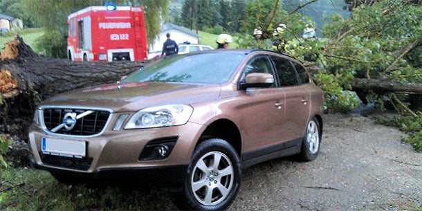Baum stürzt in Paßriach auf Auto