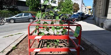 Begr&uuml;nung im 3. Bezirk
