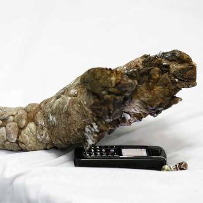 Die ersten Bilder nach der OP