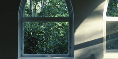 baum_fenster_haus_buenos_di