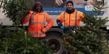Linz AG entsorgt Christbäume gratis