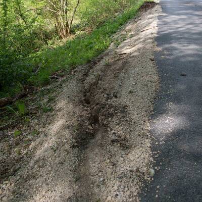Kinder durch Baumstamm schwer verletzt
