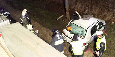 Autolenker weicht Hasen aus - tot