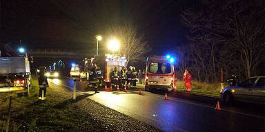 Autolenker weicht Hasen aus - tot