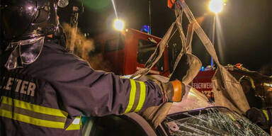 Autolenker weicht Hasen aus - tot