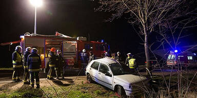 Autolenker weicht Hasen aus - tot