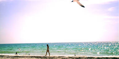 Florida lockt mit günstigen Preisen